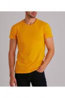 Hardal Erkek Basic Pamuklu Bisiklet Yaka Slim Fit T-Shirt F51624