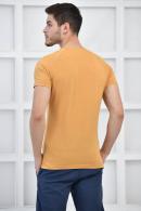 Hardal Erkek Bisiklet Yaka İnce Çizgili Likralı Slim Fit T-Shirt F5432